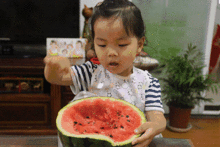 喜欢吃瓜群众的危害性,网络时代的隐忧与反思