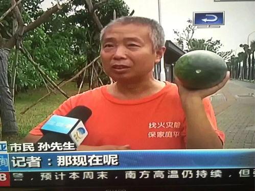 吃瓜群众成主角事件,主角成瓜田新宠