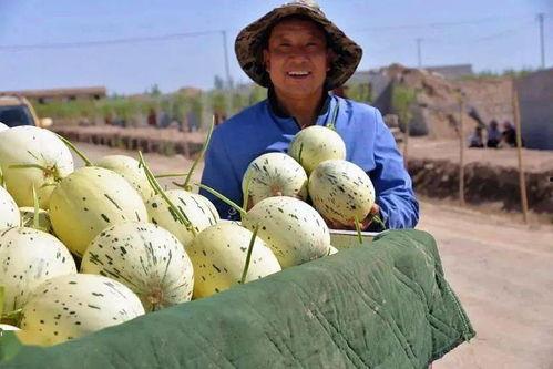 吃瓜群众打一典故,揭秘古代“吃瓜”典故背后的故事