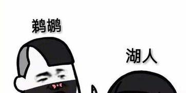 吃瓜群众这个梗我吃不下