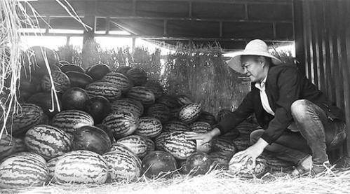 吃瓜群众捡破烂视频,揭秘吃瓜群众捡破烂背后的故事