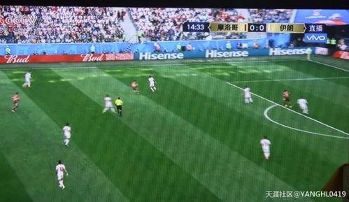 国米吃瓜群众视频下载,揭秘球场幕后趣闻