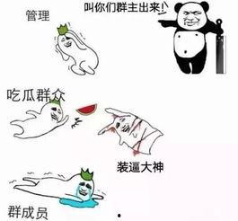 吃瓜群众的责任和义务,责任与义务的实践指南